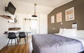 King Pet-Friendly Suite